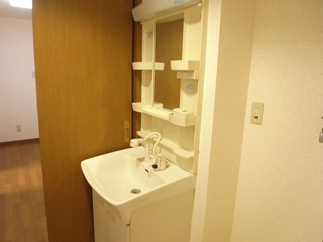 Washroom. Shampoo dresser