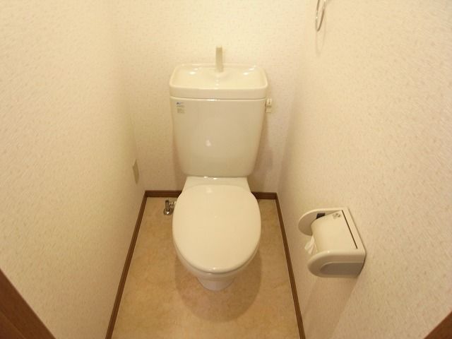 Toilet. Toilet