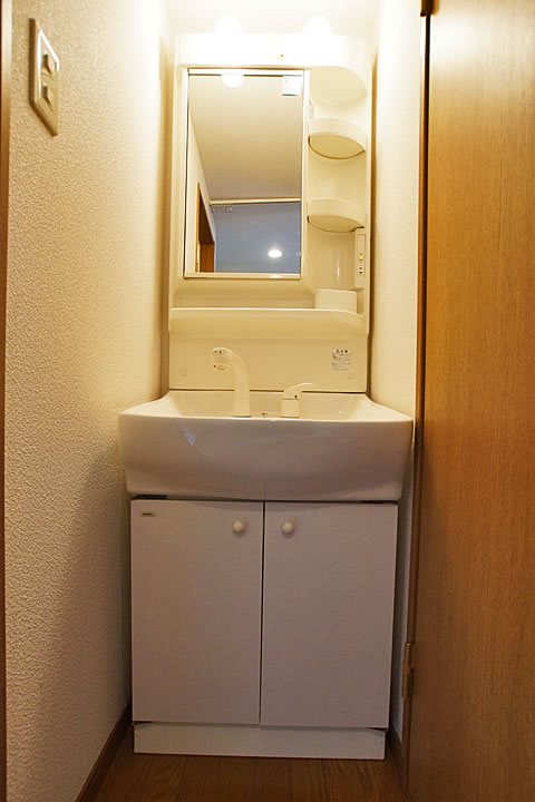 Washroom. Shampoo dresser