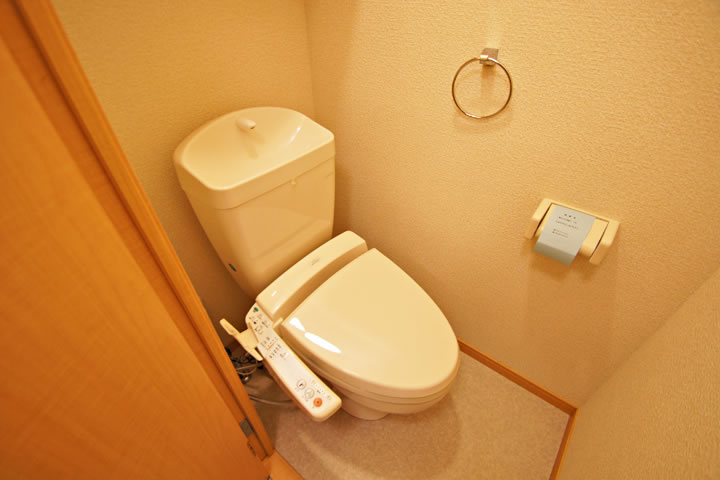 Toilet. Toilet (Washlet)