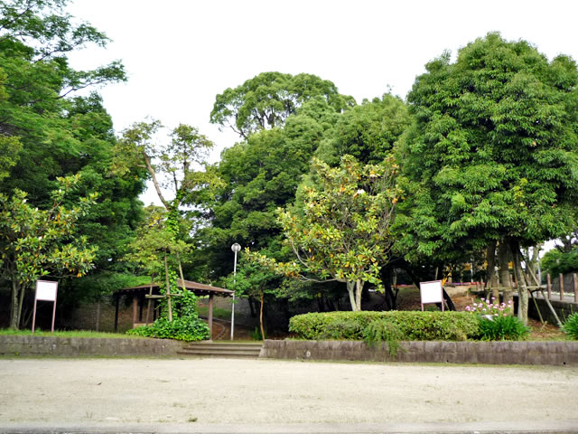 park. 600m until the tree park (park) of camphor