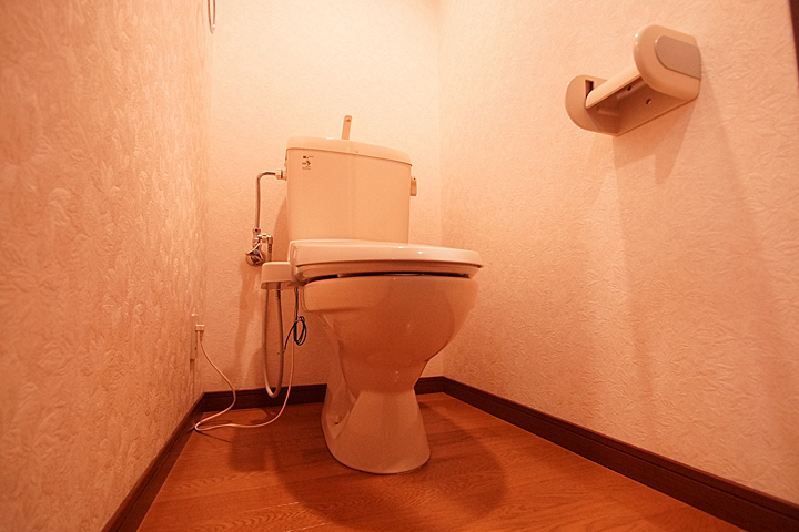 Toilet. Toilet (with washlet)