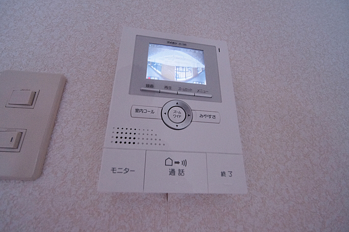 Security. Monitor with intercom