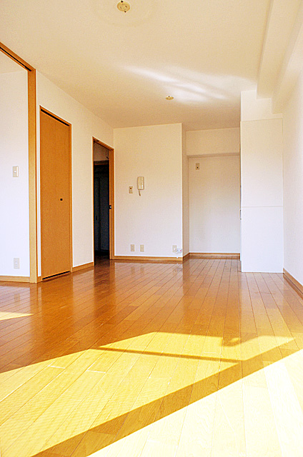 Living and room. Living room 2