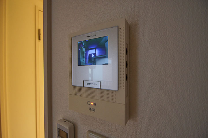 Security. Monitor with intercom