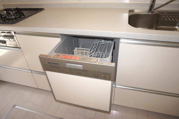 Same specifications photos (Other introspection). Dishwasher dryer built-in system kitchen