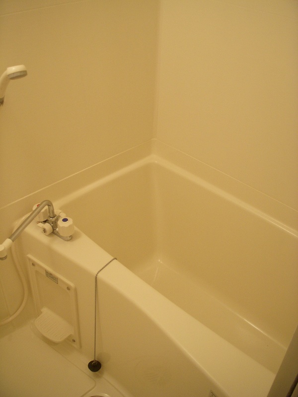 Bath. Spacious bathroom