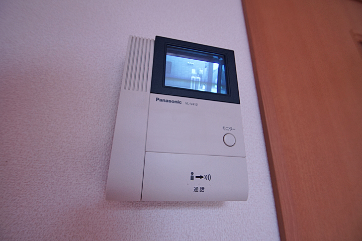 Security. Monitor with intercom