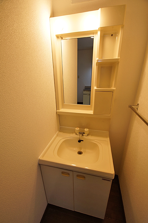 Washroom. Bathroom vanity