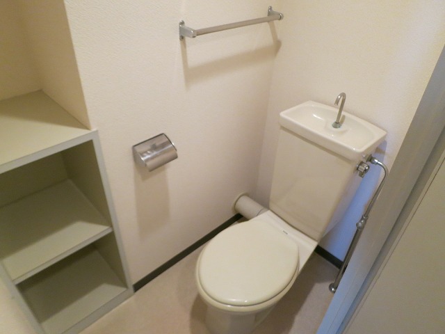 Toilet. There shelf equipped