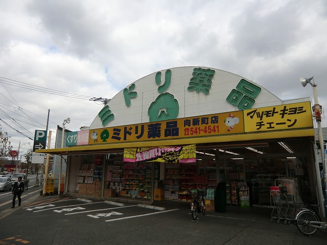Dorakkusutoa. Green chemicals Mukaishin cho shop 550m until (drugstore)
