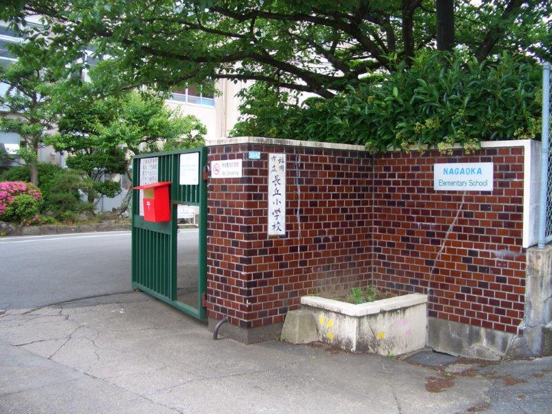 Primary school. Nagaoka 180m up to elementary school (elementary school)