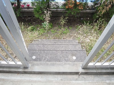 Garden. It is a garden Once down the stairs! 