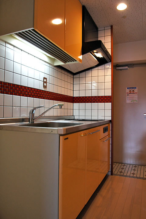 Kitchen. System kitchen