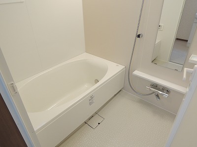 Bath. Multi-function with bathroom