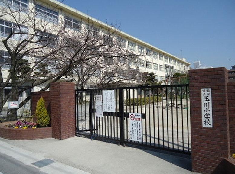 Primary school. Tamagawa 1220m walk about 16 minutes to elementary school
