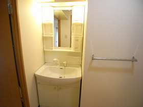 Washroom. Bathroom Vanity