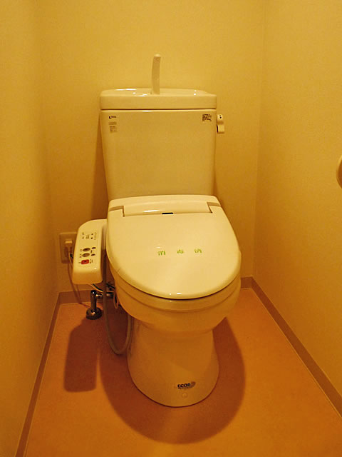 Toilet. With Washlet