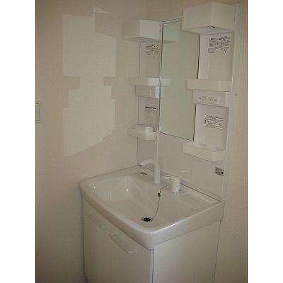 Wash basin, toilet. Easy-to-use vanity!