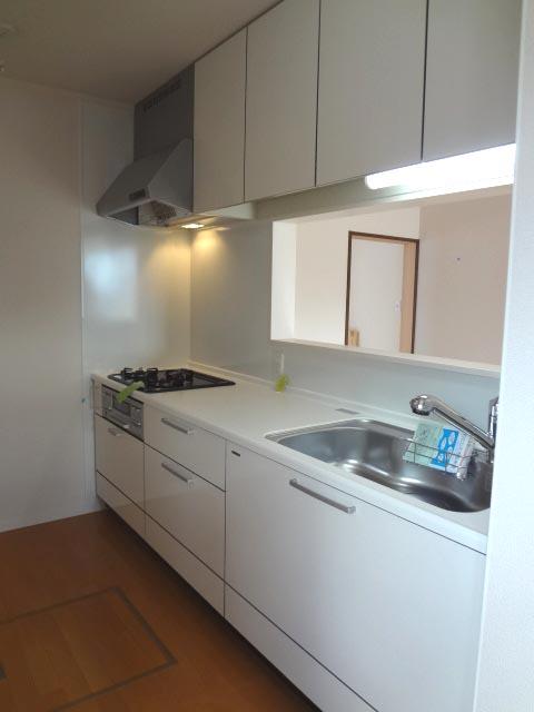 Kitchen. Bright face-to-face kitchen