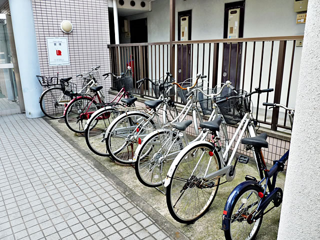 Parking lot. Bicycle-parking space