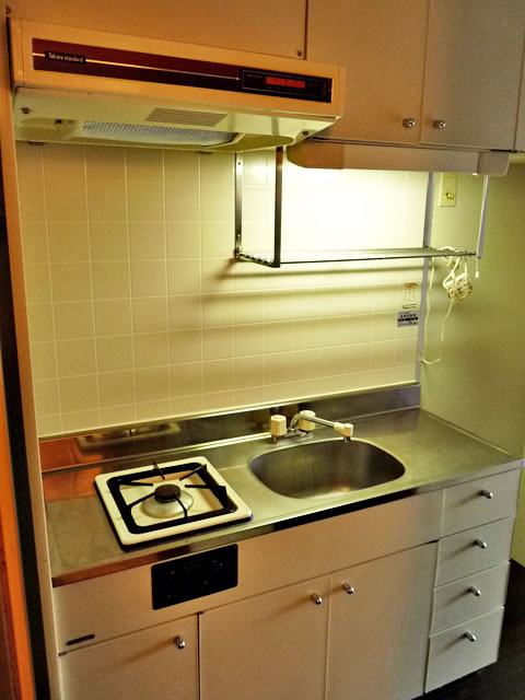 Kitchen. Gas stove with kitchen