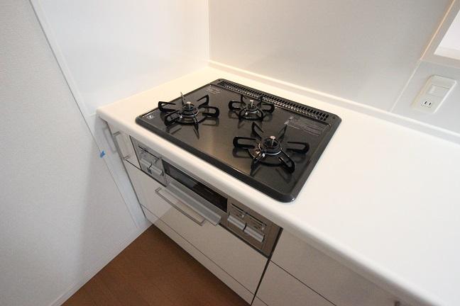 Kitchen. Indoor (11 May 2013) Shooting