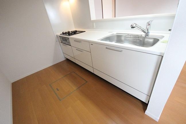 Kitchen. Indoor (11 May 2013) Shooting