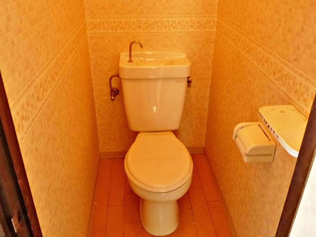 Toilet. Toilet