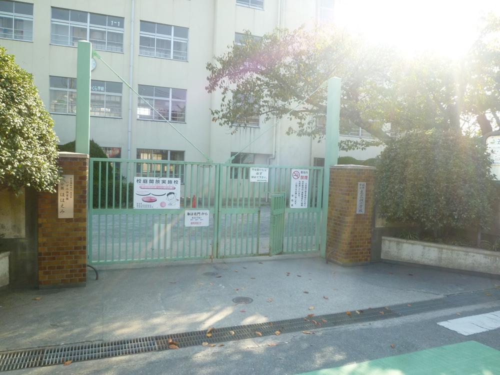Primary school. 1000m to the east, flower garden Elementary School