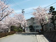 Junior high school. Chikushigaoka 1600m until junior high school (junior high school)