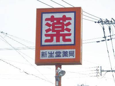 Dorakkusutoa. Shinseido pharmacy Minamiohashi shop 128m until (drugstore)