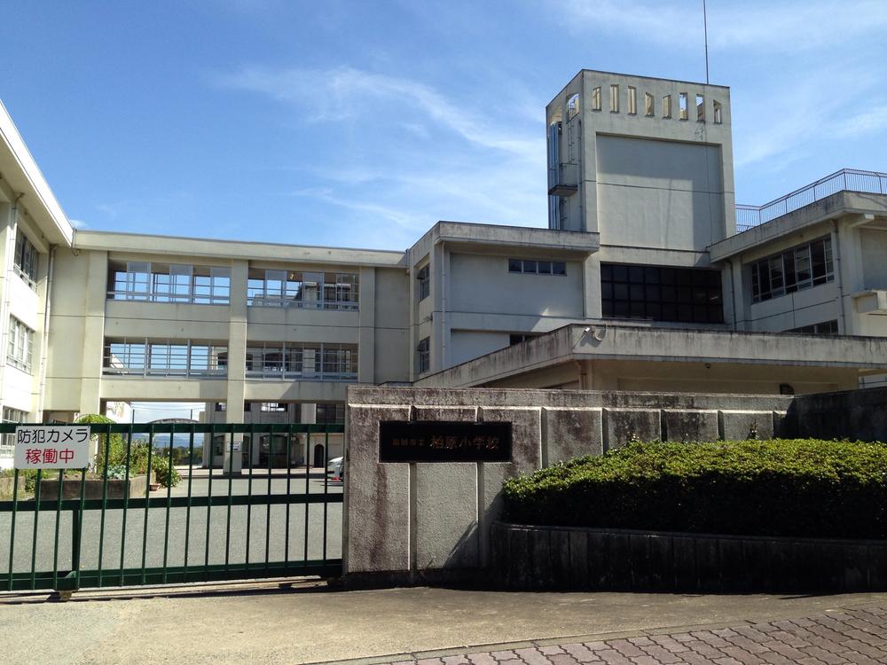 Primary school. 430m to Fukuoka Municipal Kashiwabara Elementary School
