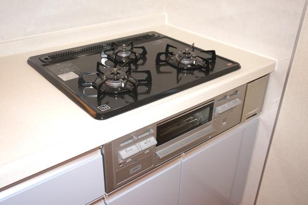 Same specifications photos (Other introspection)