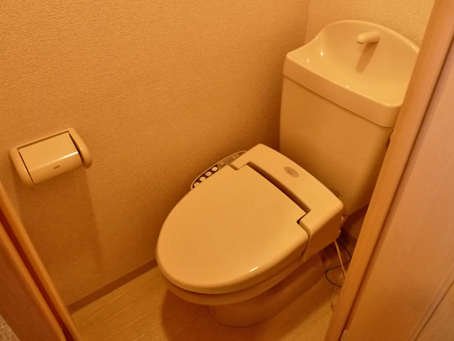 Toilet. Bidet