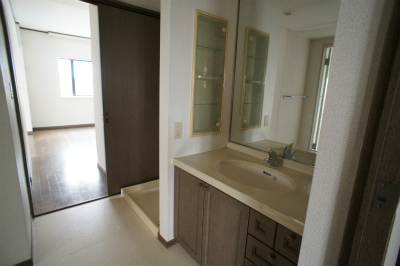 Washroom. Bathroom vanity