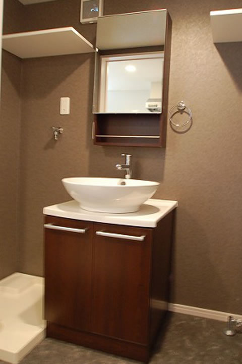 Washroom. Bathroom vanity