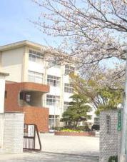 Junior high school. Kashiwabara 950m until junior high school (junior high school)