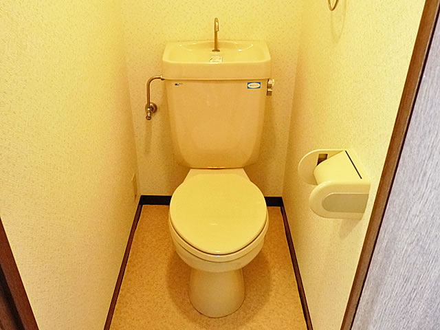 Toilet. Toilet