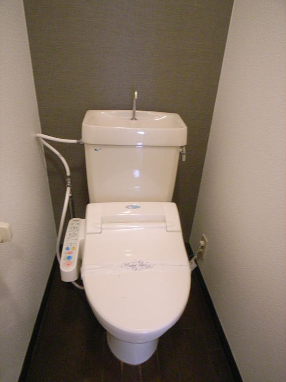 Toilet. It is with warm water cleaning toilet seat !!!