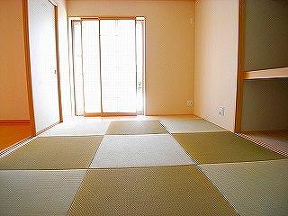 Same specifications photos (Other introspection)