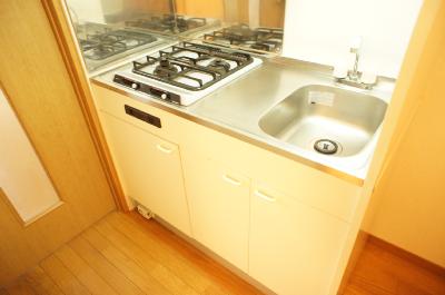 Kitchen. Stove 2-neck (^ - ^)