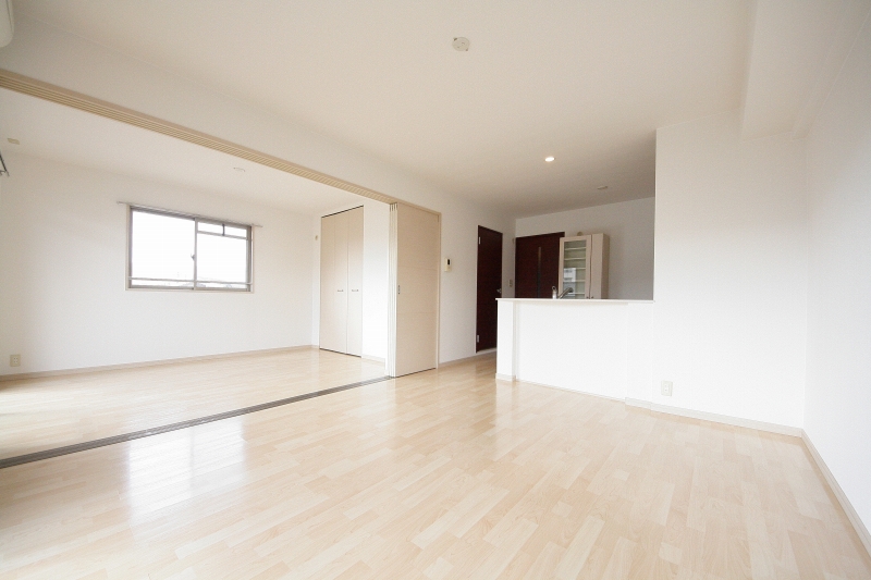 Living and room. Spacious LDK