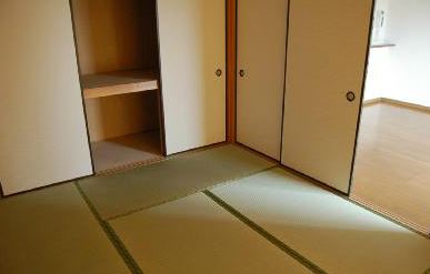 Other room space. Japanese style room