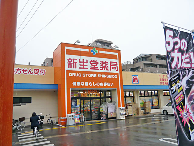 Dorakkusutoa. Shinseido 300m until the pharmacy (drugstore)