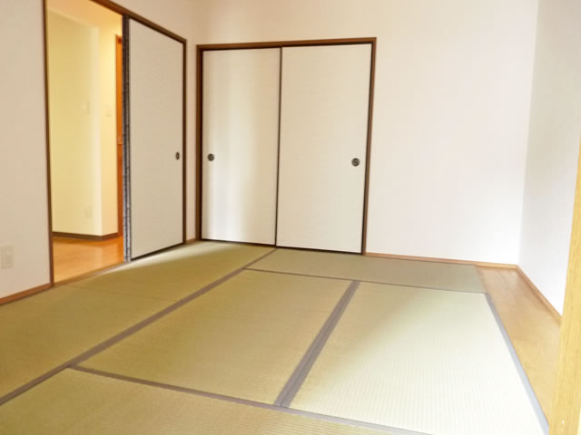 Other room space. Japanese style room