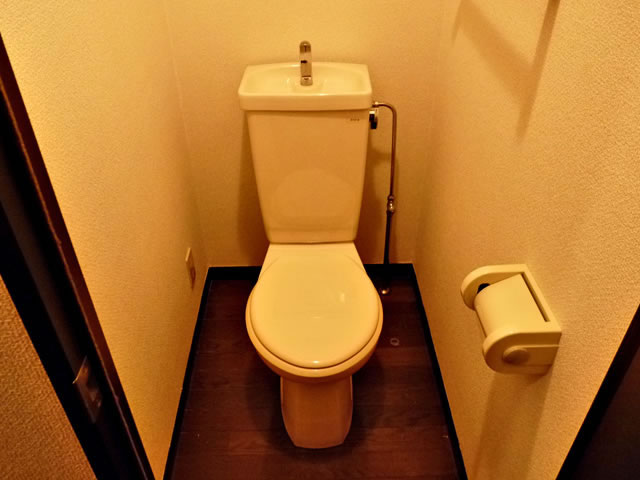 Toilet. Toilet