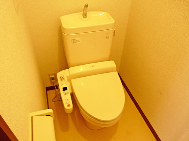 Toilet. Bidet