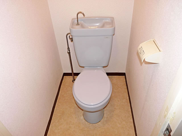 Toilet. Toilet