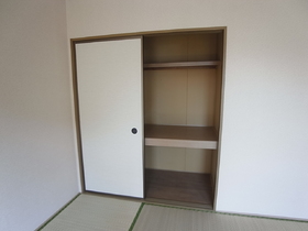 Other. It is a closet of the Japanese-style room.